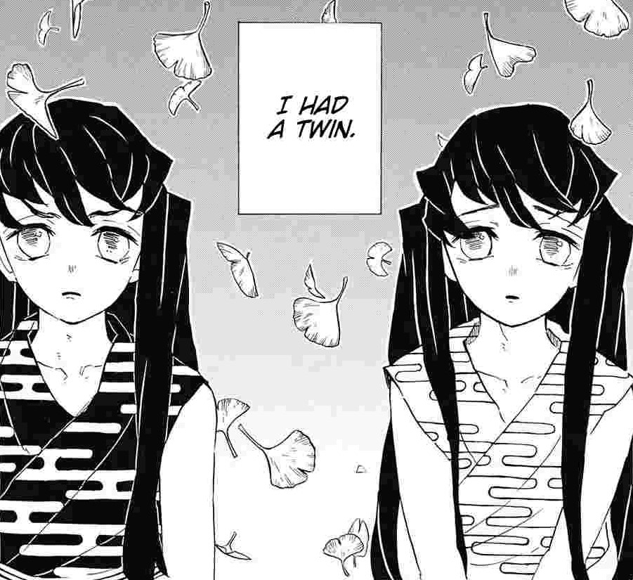 Twins - Muchiro and Yuichiro Tokito Reincarnation